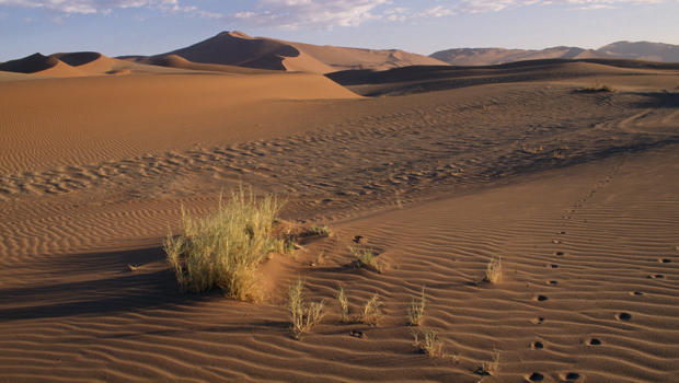 Desert in Namibia. Africa New Energies is hoping to use a new exploration technique in the east of the country. (PA)