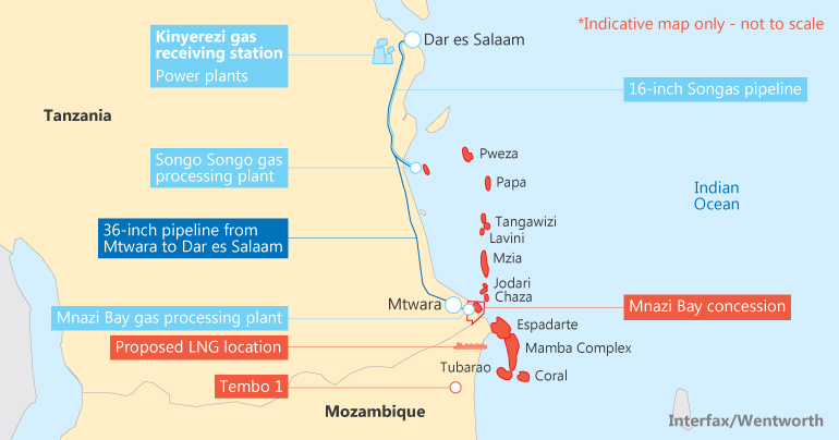 Gas fields and infrastructure in Tanzania and Mozambique.