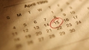 Wildcat gives you a headstart on the coming week