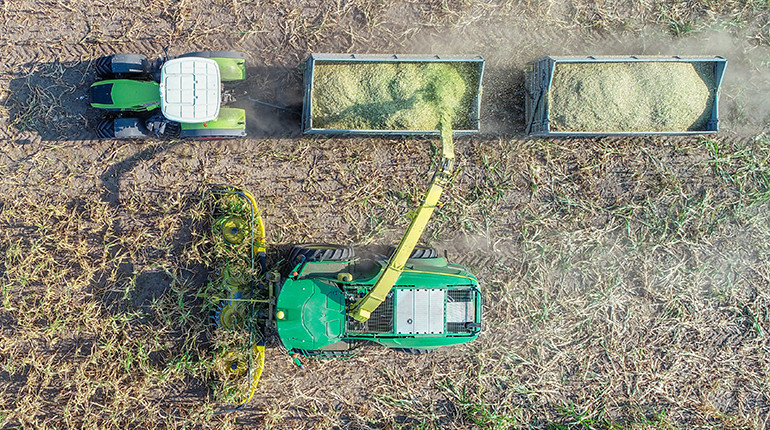 Harvesting corn for biogas in Germany.