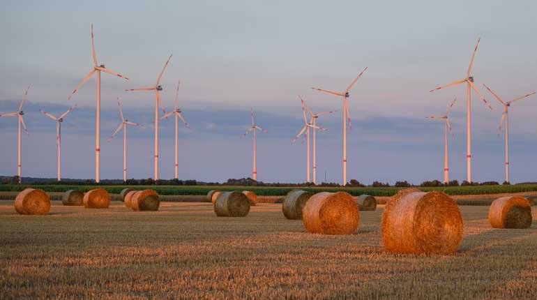 A German wind farm