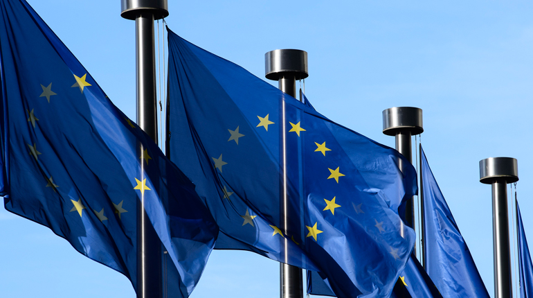 EU flags