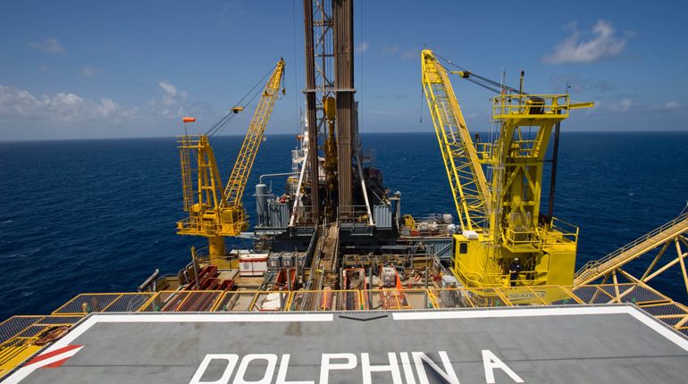 The Dolphin platform